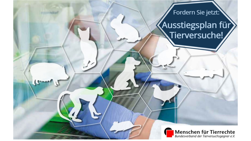 Petition Ausstiegsplan Tierversuche